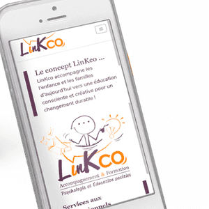 Habillage du site Internet pour LincKo