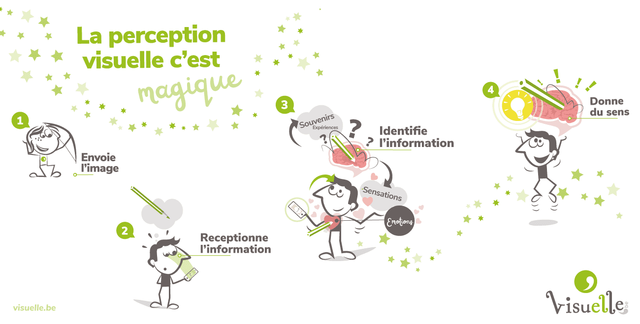 Quand l'oeil voit et le cerveau perçoit